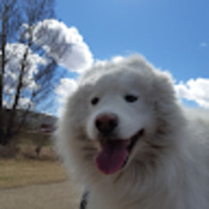 Meet your Posher, Jacob